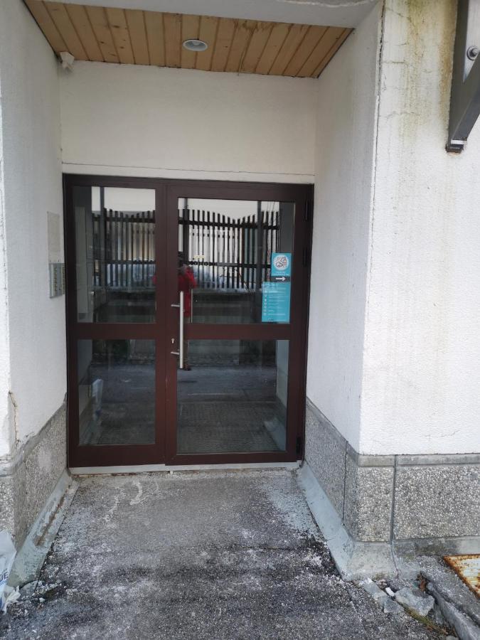 Apartma Snezko Kranjska Gora Dış mekan fotoğraf
