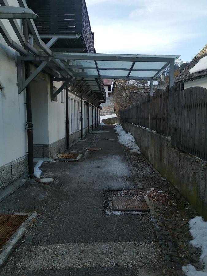 Apartma Snezko Kranjska Gora Dış mekan fotoğraf