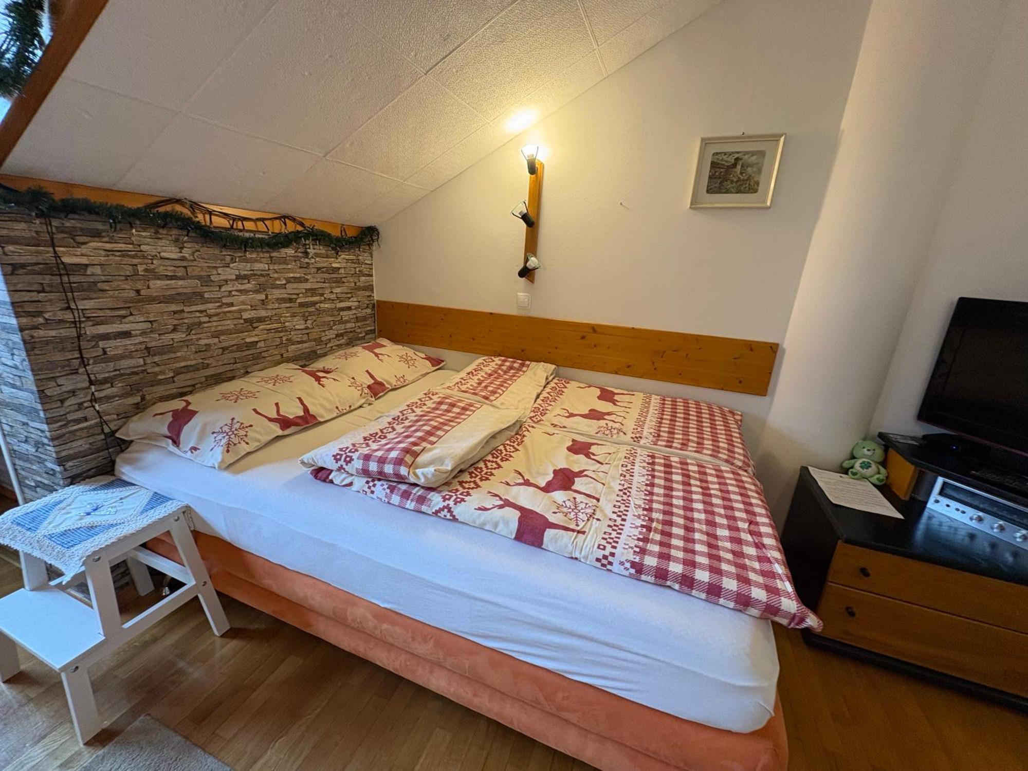 Apartma Snezko Kranjska Gora Dış mekan fotoğraf